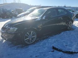 Lexus salvage cars for sale: 2008 Lexus IS 250