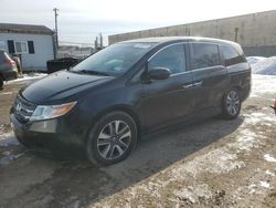 Honda Odyssey exl salvage cars for sale: 2011 Honda Odyssey EXL