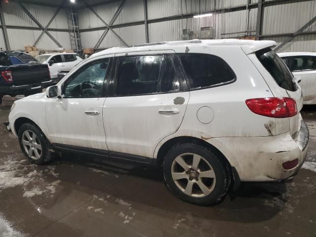 2009 Hyundai Santa FE SE