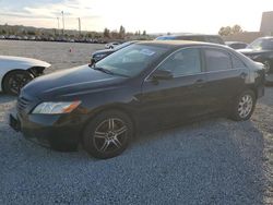 Toyota Camry salvage cars for sale: 2007 Toyota Camry CE