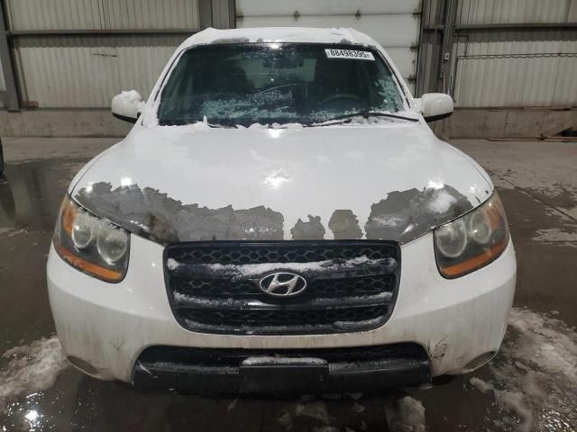 2009 Hyundai Santa FE SE