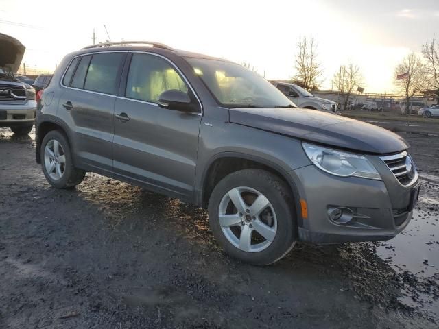 2010 Volkswagen Tiguan SE