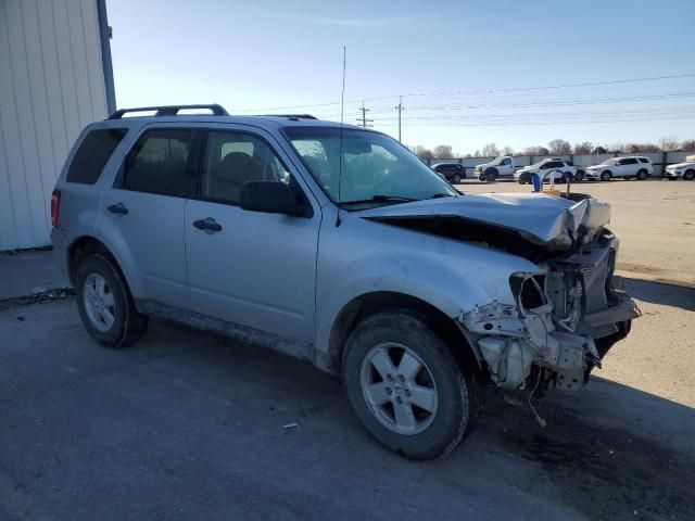 2009 Ford Escape XLT