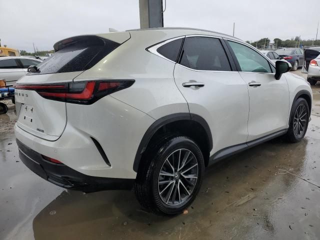 2024 Lexus NX 250 Premium