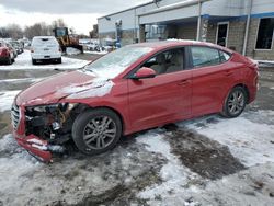 Hyundai Elantra salvage cars for sale: 2017 Hyundai Elantra SE