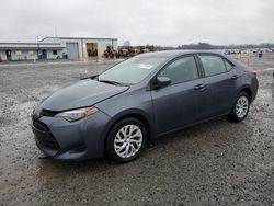 Toyota Vehiculos salvage en venta: 2019 Toyota Corolla L