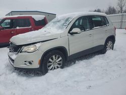 Volkswagen Vehiculos salvage en venta: 2010 Volkswagen Tiguan SE