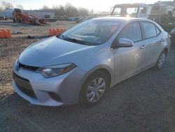 Toyota Corolla salvage cars for sale: 2015 Toyota Corolla L