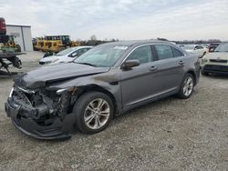 Ford salvage cars for sale: 2014 Ford Taurus SEL