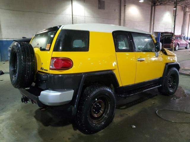 2010 Toyota FJ Cruiser