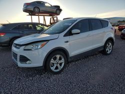 Salvage cars for sale from Copart Phoenix, AZ: 2014 Ford Escape SE