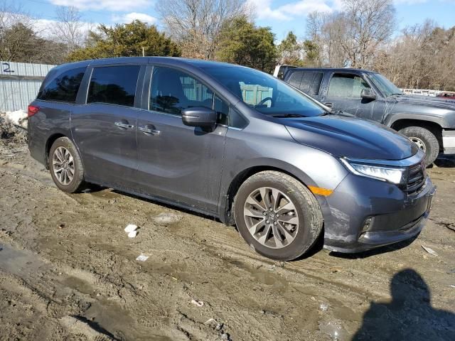 2023 Honda Odyssey EXL