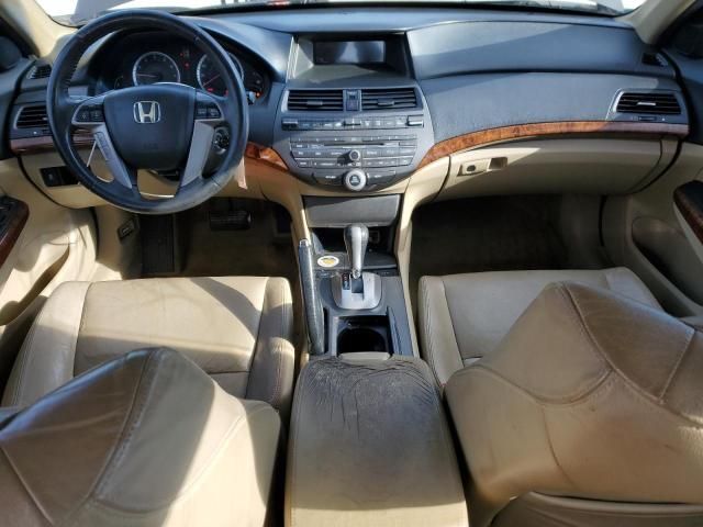 2011 Honda Accord EXL