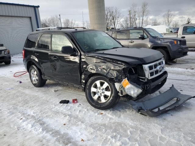 2011 Ford Escape Limited