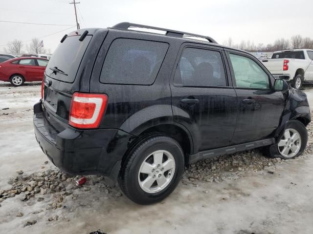 2010 Ford Escape XLS