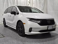 2024 Honda Odyssey Sport for sale in Elgin, IL