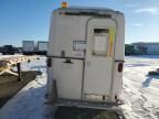2009 Pelsue Trailer