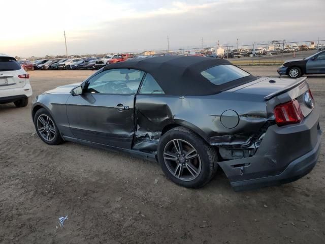 2010 Ford Mustang