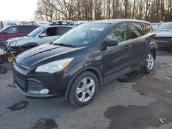 Salvage cars for sale from Copart Glassboro, NJ: 2014 Ford Escape SE