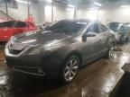 2010 Acura ZDX Advance