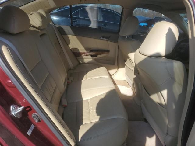 2008 Honda Accord EXL