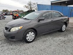 Toyota Corolla salvage cars for sale: 2009 Toyota Corolla Base