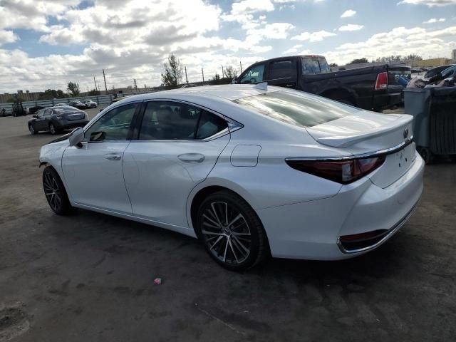 2024 Lexus ES 300H Base