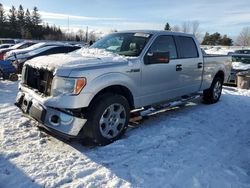 Vehiculos salvage en venta de Copart Ontario Auction, ON: 2010 Ford F150 Supercrew