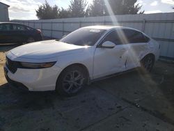 Honda Accord salvage cars for sale: 2024 Honda Accord EX