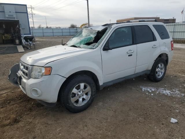 2009 Ford Escape Limited