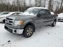 2014 Ford F150 Supercrew en venta en Cookstown, ON