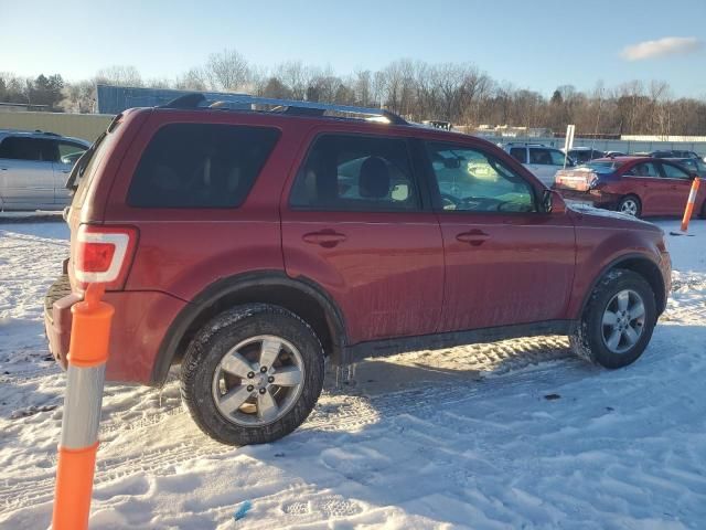 2011 Ford Escape Limited