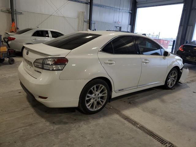 2010 Lexus HS 250H