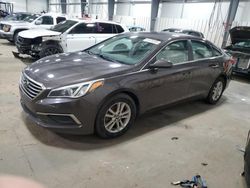 2016 Hyundai Sonata SE en venta en Ham Lake, MN