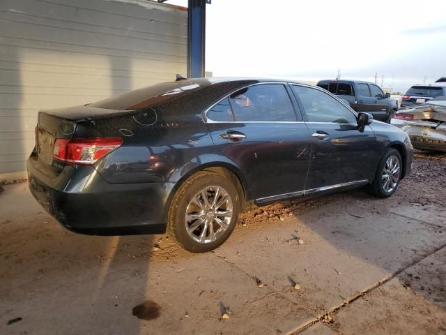 2010 Lexus ES 350