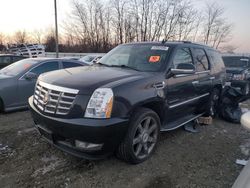 2011 Cadillac Escalade Luxury for sale in Windsor, NJ