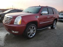 Cadillac Escalade salvage cars for sale: 2008 Cadillac Escalade Luxury