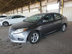 Salvage cars for sale from Copart Phoenix, AZ: 2014 Ford Focus SE