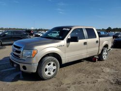 2014 Ford F150 Supercrew for sale in Houston, TX