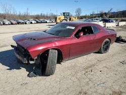 Dodge Challenger salvage cars for sale: 2018 Dodge Challenger SXT