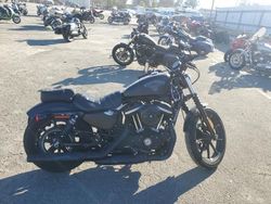 Harley-Davidson XL883 N Vehiculos salvage en venta: 2021 Harley-Davidson XL883 N