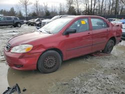 Toyota Corolla salvage cars for sale: 2004 Toyota Corolla CE