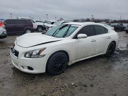 Nissan Maxima salvage cars for sale: 2014 Nissan Maxima S