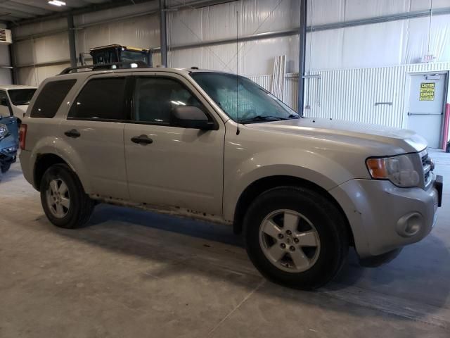 2009 Ford Escape XLT