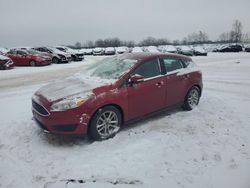 Ford Focus salvage cars for sale: 2015 Ford Focus SE