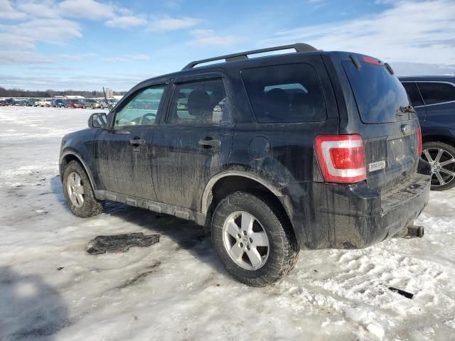 2012 Ford Escape XLT