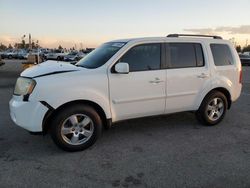 Honda Pilot Vehiculos salvage en venta: 2011 Honda Pilot EX