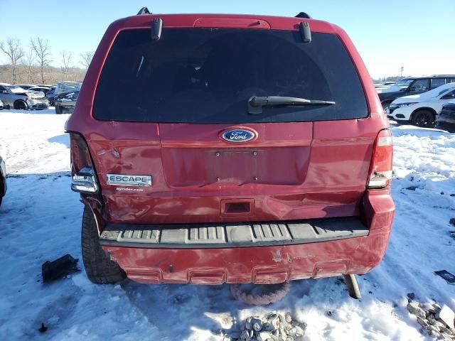 2010 Ford Escape XLT