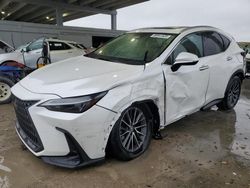 Lexus nx 250 pre salvage cars for sale: 2024 Lexus NX 250 Premium