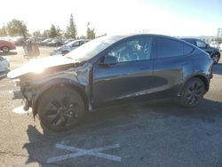 Salvage cars for sale from Copart Rancho Cucamonga, CA: 2024 Tesla Model Y